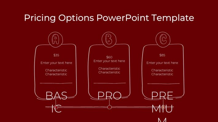 Pricing Options Powerpoint Template Slidevilla