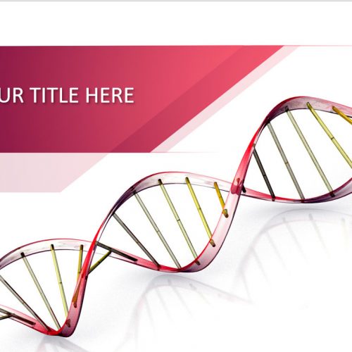 Organization Culture DNA PowerPoint Templates