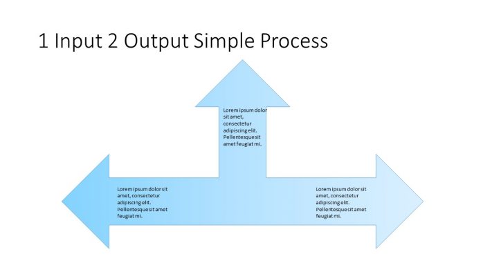 1 Input 2 Output Simple Process Template