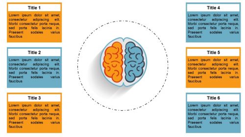 Human Brain Top View PowerPoint Template