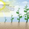Plant Ideas Concept PowerPoint Template
