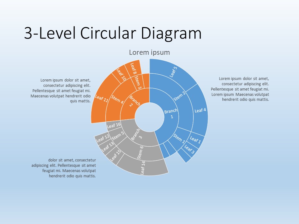 3 Level Circular Diagram PowerPoint Template
